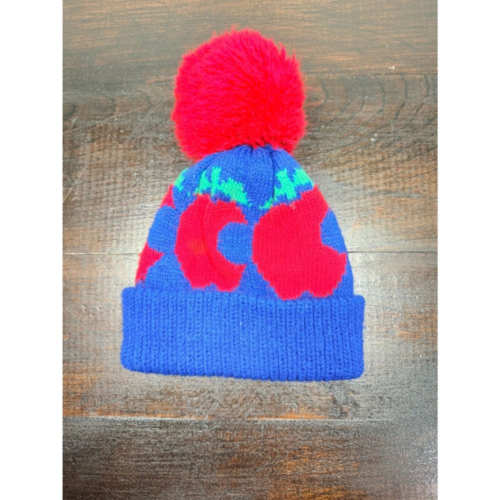 Kids Blue Knit Beanie with Red Pom Pom and‎ Apple Design winter Snow